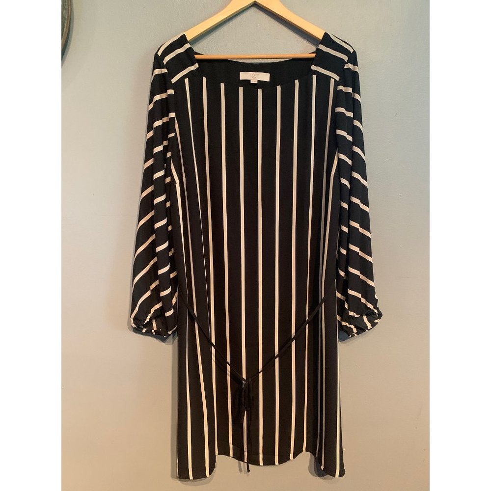 LOFT Plus - Black and White Dress - 16